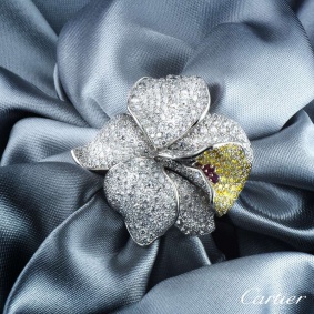 Cartier Caresse D Orchidees Diamond and Ruby Ring